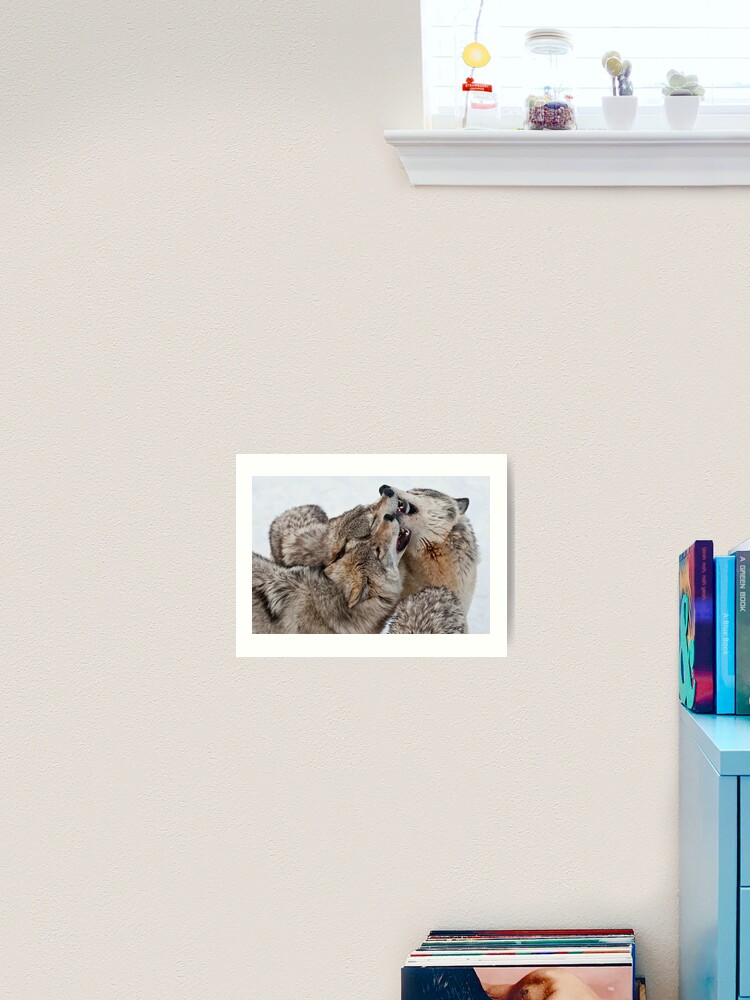 Thumbnail 2 of 3, Art Print, Timber Wolves designed and sold by WolvesOnly.