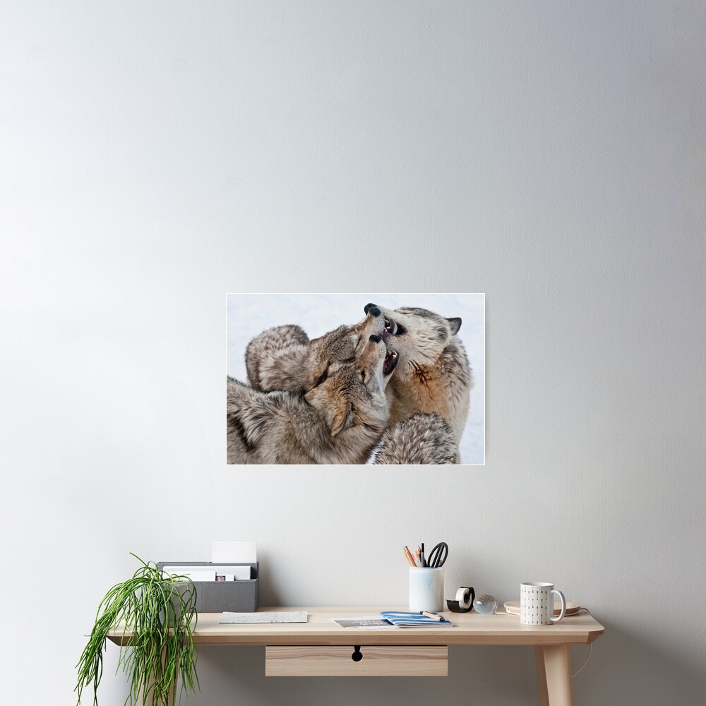 Item preview, Poster designed and sold by WolvesOnly.