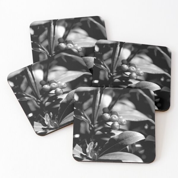Item preview, Warming In The Sunlight (Monochrome) designed and sold by DoodleBugImages.