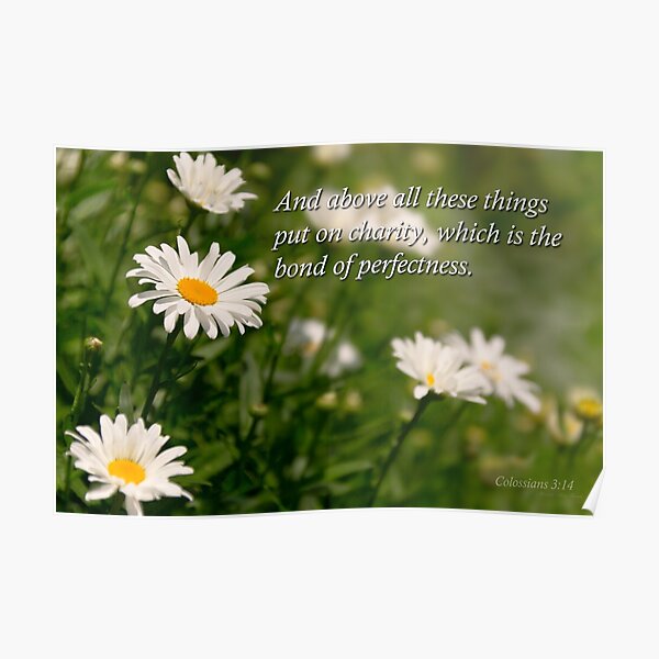 Colossians 3 14 Gifts Merchandise Redbubble Colossians 3 14 Gifts Merchandise Redbubble