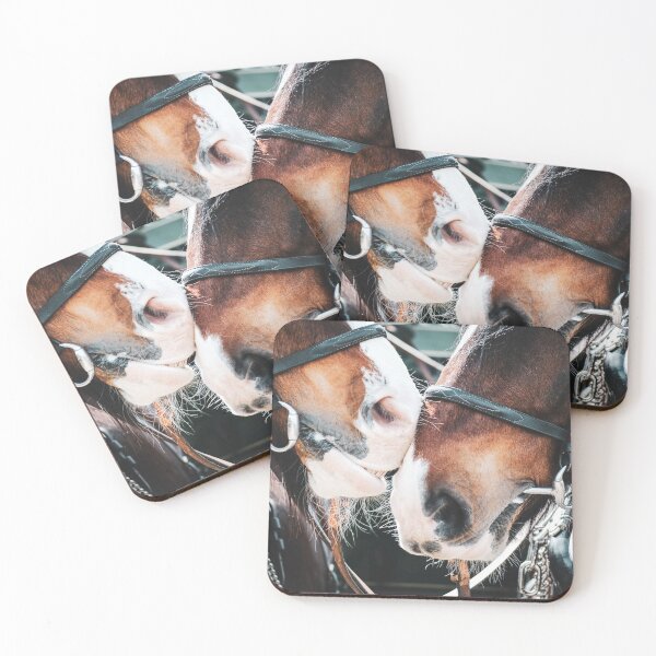 Item preview, Best Friends designed and sold by brynmelys.