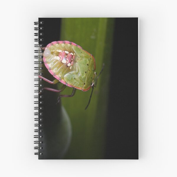Item preview, Into The Unknown designed and sold by Natalie Ord.