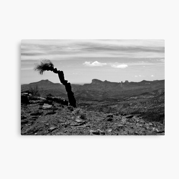 Item preview, Trees and wildlife destroyed by fire designed and sold by myraj.