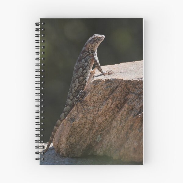 Item preview, A Clark's Spiny Lizard Enjoys the Morning Sun designed and sold by MomentofPercep.