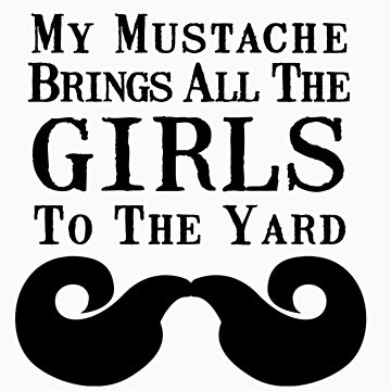 Artwork thumbnail, My Mustache Brings all the Girls to the Yard by choustore