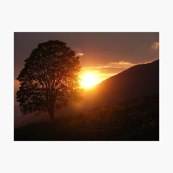 Item preview, Tree against sunset in the Alps black and orange - L'Albero dei Ricordi designed and sold by visionitaliane.