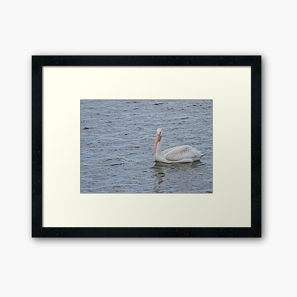 Item preview, Young Pelican designed and sold by Thomasyoung.