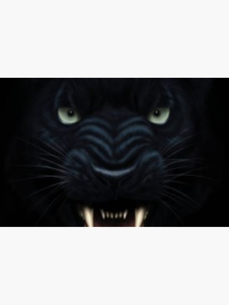 Angry panther face in darkness Angry panther face in darkness