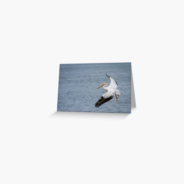 Item preview, Touching Down designed and sold by Thomasyoung.