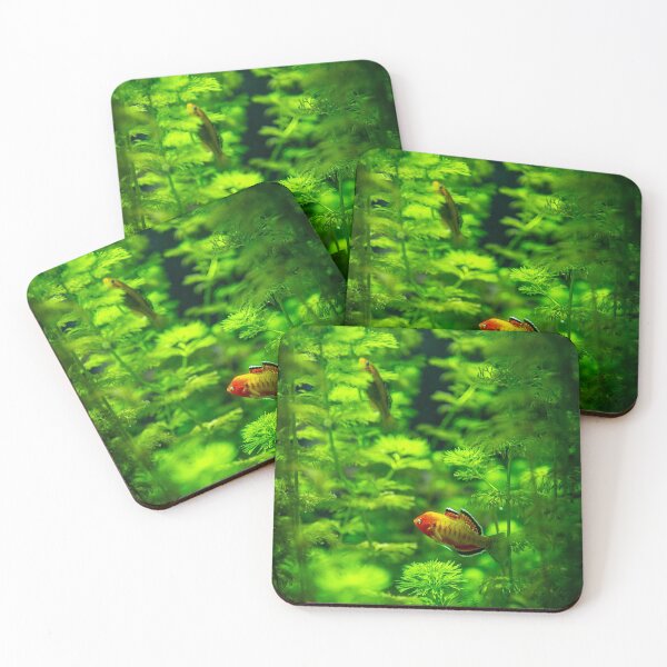 Item preview, Orange Fish Hide and Seek designed and sold by Chris Bingham.