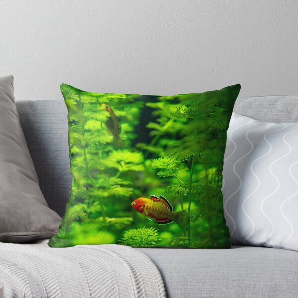 Item preview, Orange Fish Hide and Seek designed and sold by Chris Bingham.