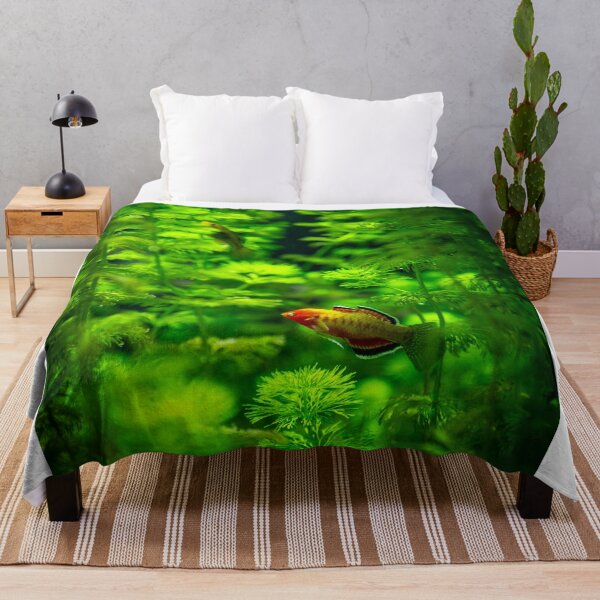 Item preview, Orange Fish Hide and Seek designed and sold by Chris Bingham.