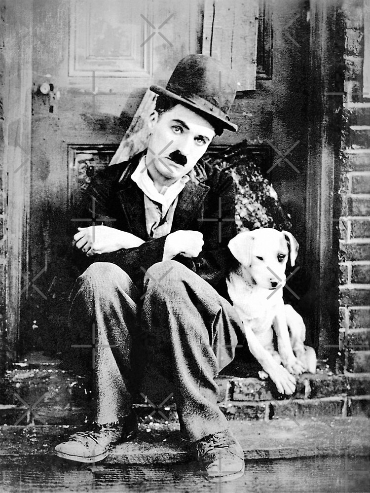 Chaplin - Dog Life - D17 de DecoWords