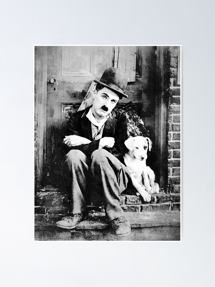 Vista alternativa de Póster Chaplin - Dog Life - D17