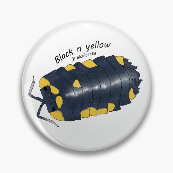 Item preview, M.bicolorata designed and sold by Binkykun.