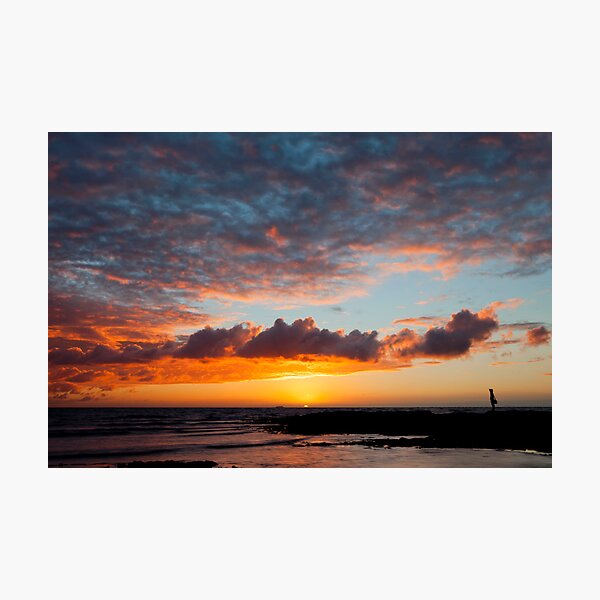 Observing Beauty Photographic Print