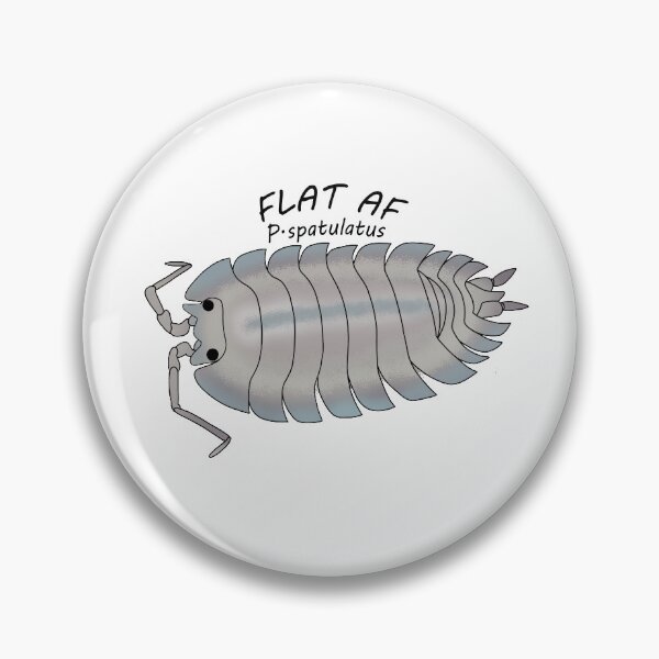 Item preview, P.spatulatus Flat AF designed and sold by Binkykun.