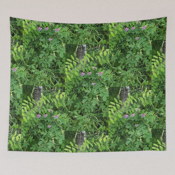 Item preview, Lovely Purple veined Vetchling designed and sold by Kim-Pratt.