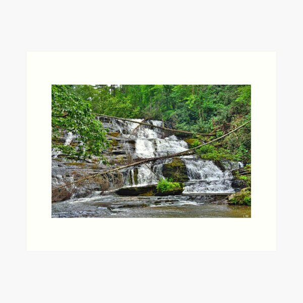 Item preview, Little Brasstown Creek Falls designed and sold by LisaWootenPhoto.