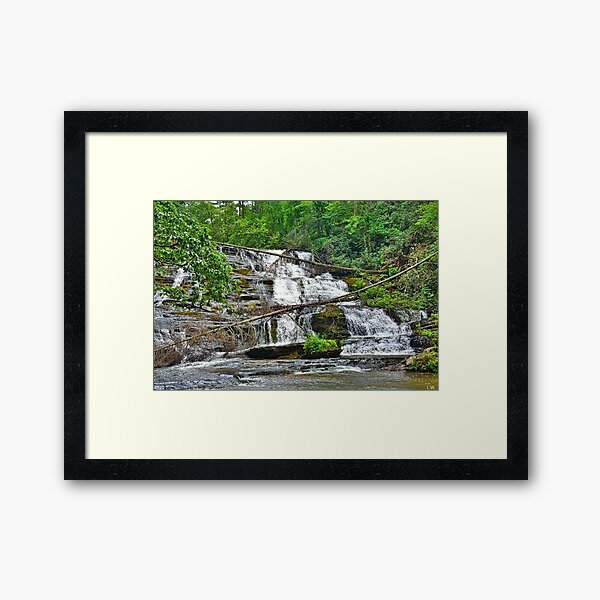 Item preview, Little Brasstown Creek Falls designed and sold by LisaWootenPhoto.