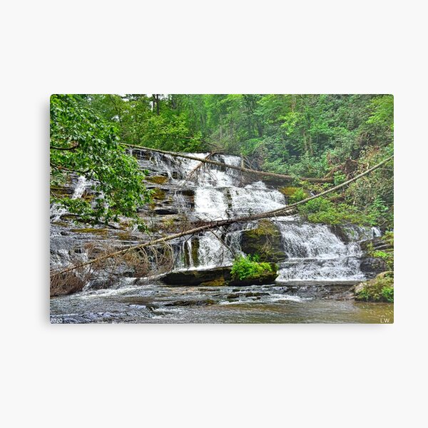 Little Brasstown Creek Falls Metal Print