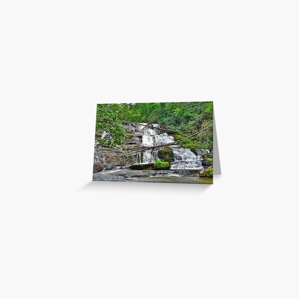 Item preview, Little Brasstown Creek Falls designed and sold by LisaWootenPhoto.