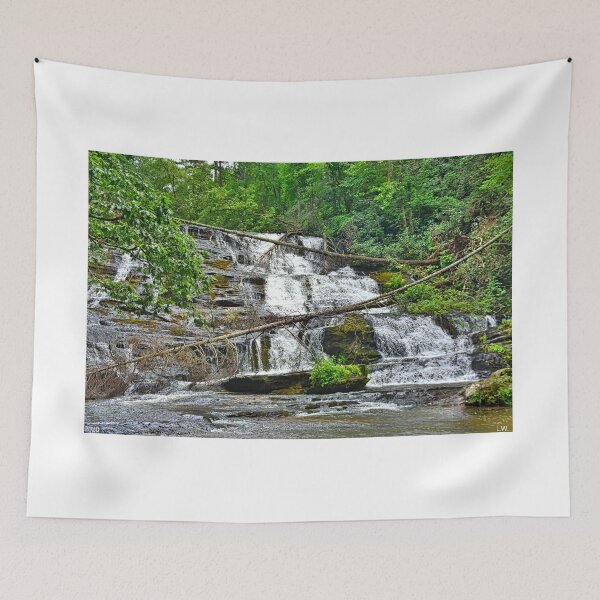 Item preview, Little Brasstown Creek Falls designed and sold by LisaWootenPhoto.