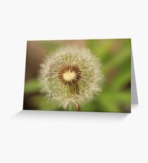 Delicate Dandelion Greeting Card