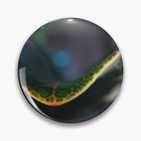 Item preview, House Plant Leaf designed and sold by Picturethat1.