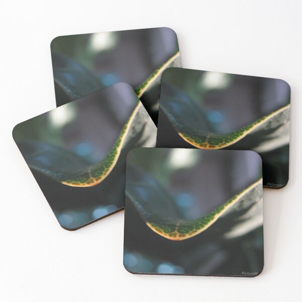 Item preview, House Plant Leaf designed and sold by Picturethat1.