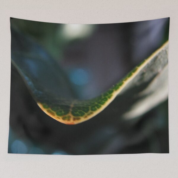 Item preview, House Plant Leaf designed and sold by Picturethat1.