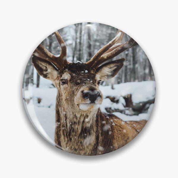 Item preview, Beautiful Male Deer Standing On Snow designed and sold by ArtistPlayStore.