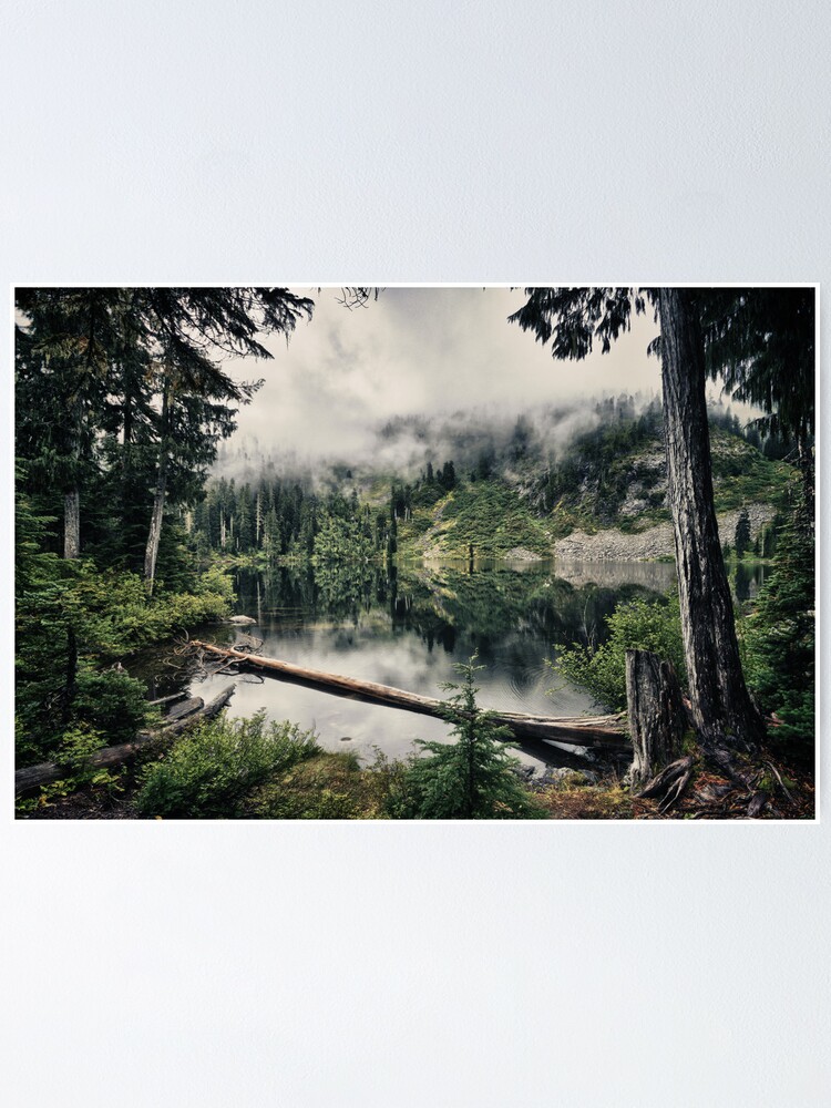 Landscape Color Photography Fallen Log In Lake In The Cascade Mountains Nature Of The Pacific Northwest Wall Art E Nuvole Poster By Visionitaliane Redbubble