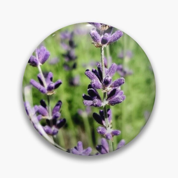 Item preview, The lavender bush  designed and sold by Picturethat1.