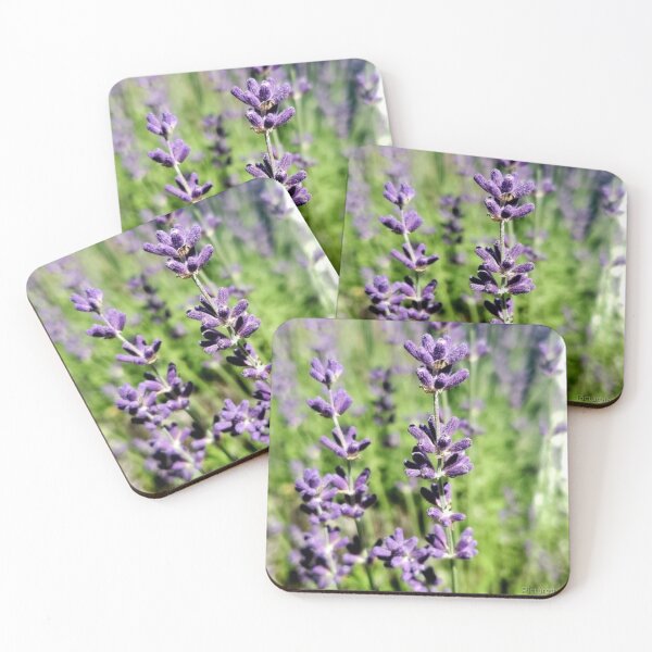 Item preview, The lavender bush  designed and sold by Picturethat1.