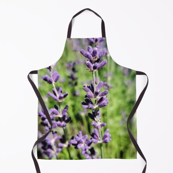 Item preview, The lavender bush designed and sold by Picturethat1.