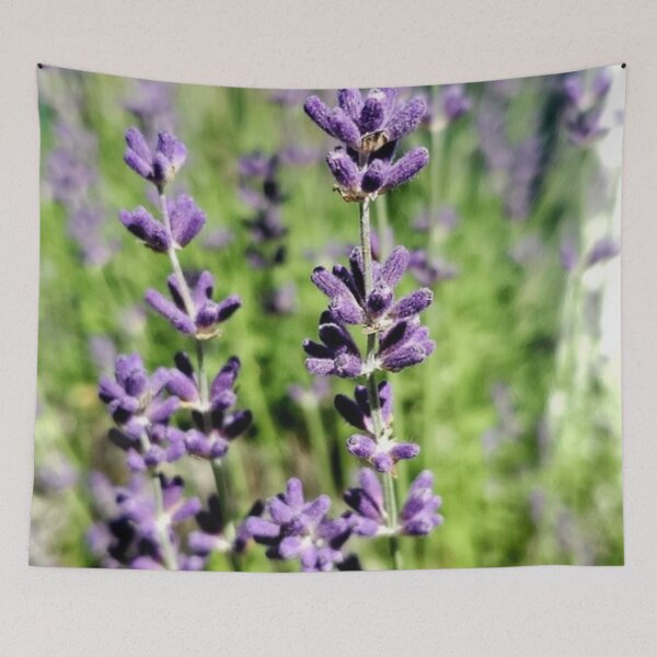 Item preview, The lavender bush designed and sold by Picturethat1.