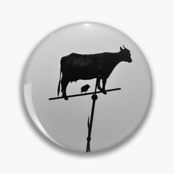 Item preview, You're so Vane designed and sold by AGODIPhoto.