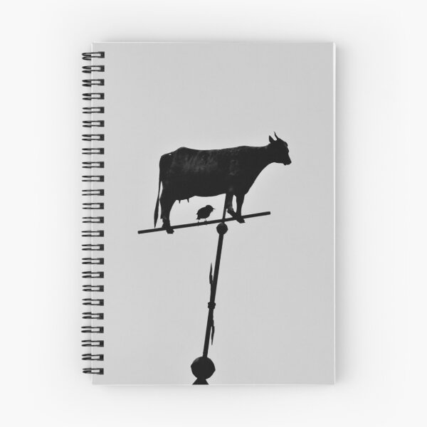 Item preview, You're so Vane designed and sold by AGODIPhoto.