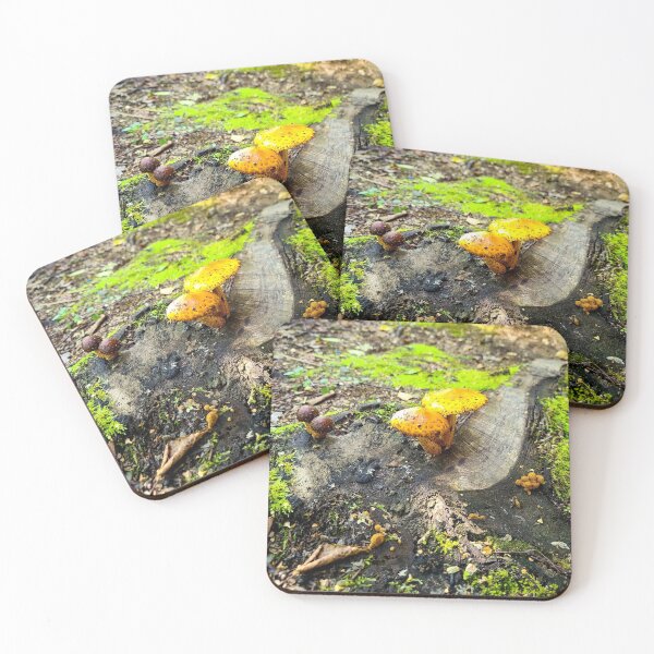 Item preview, Forest floor designed and sold by Darkling-Rhymes.