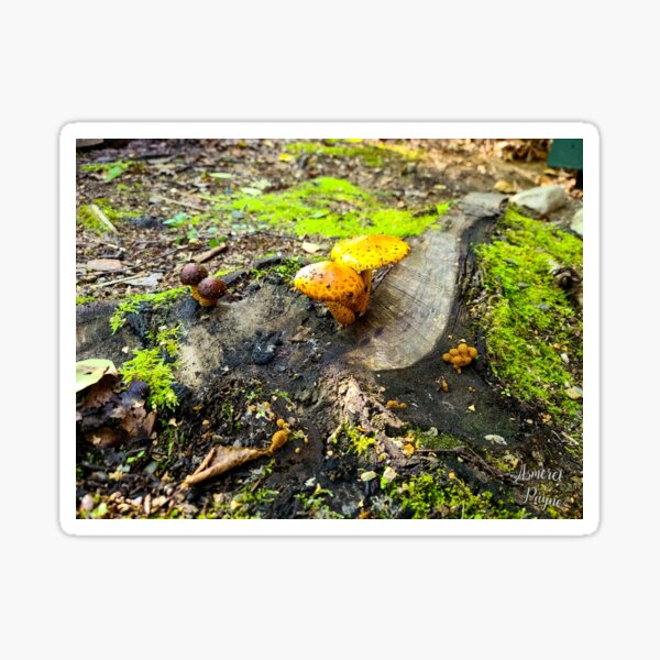 Item preview, Forest floor designed and sold by Darkling-Rhymes.
