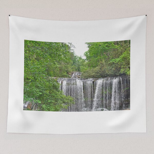 Item preview, Brasstown Creek Falls designed and sold by LisaWootenPhoto.