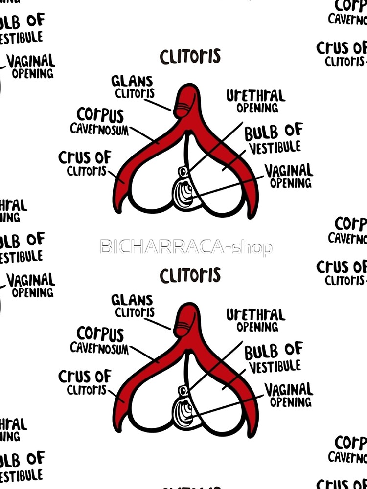 Clit anatomy pattern by BICHARRACA-shop