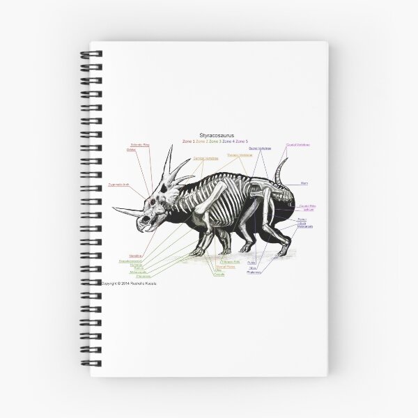 Item preview, Styracosaurus Skeleton Study designed and sold by Thedragonofdoom.