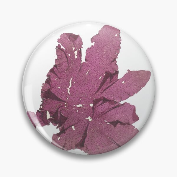 Artikelvorschau, Red Seaweed Press entworfen und verkauft von phykos.