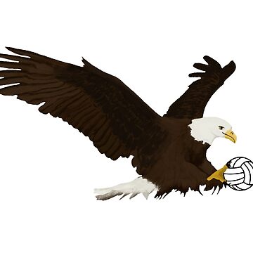 Volleyball Eagle Logo T-Shirt Design Vector – ThreadBasket