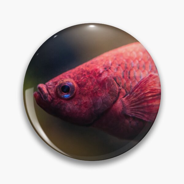 Item preview, Red Betta Fish designed and sold by GregDorney.