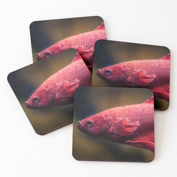 Item preview, Red Betta Fish designed and sold by GregDorney.