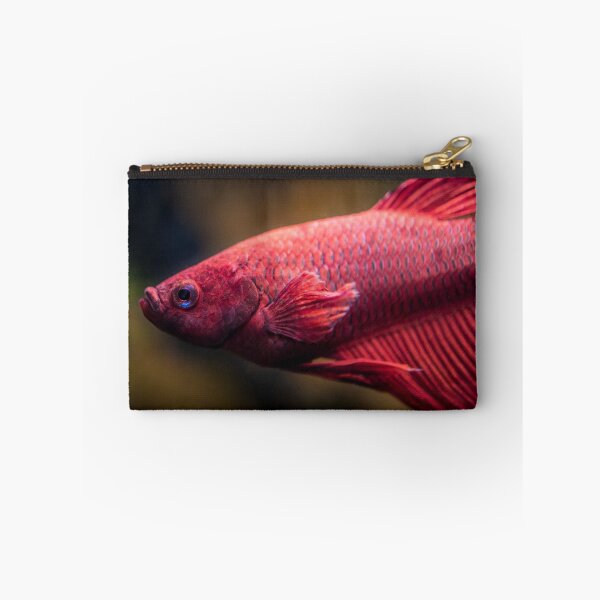 Item preview, Pez betta rojo designed and sold by GregDorney.