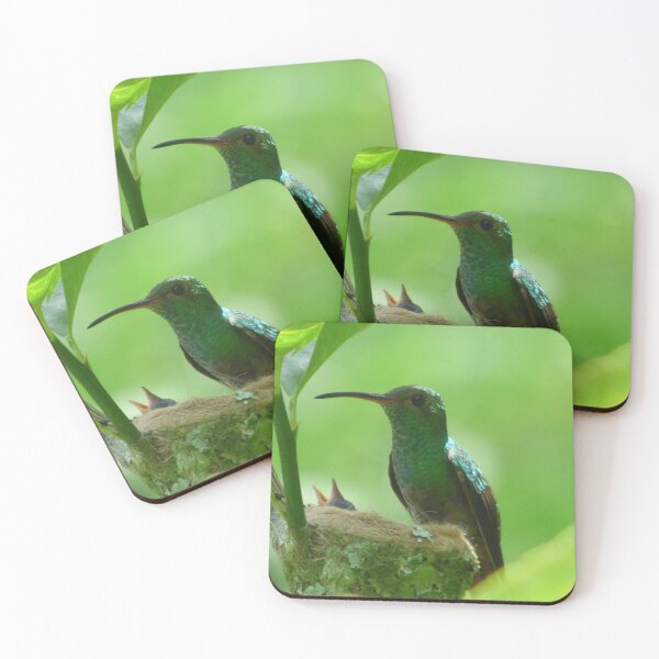 Item preview, Hummingbird mom and babies designed and sold by TropicVibes260.